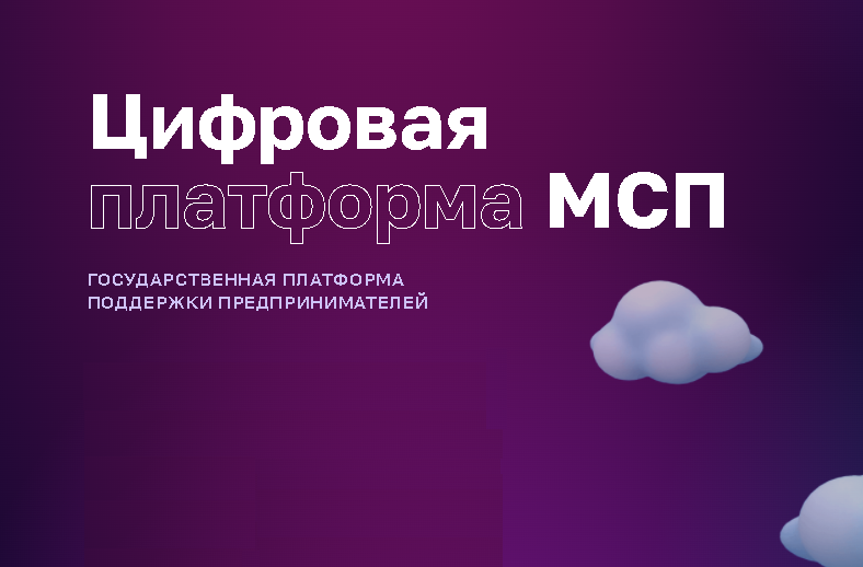 Финансовая поддержка АО «МСП БАНК».