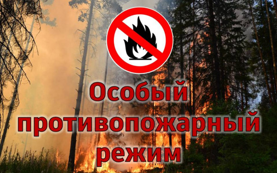 В Бурятии введён особый противопожарный режим.