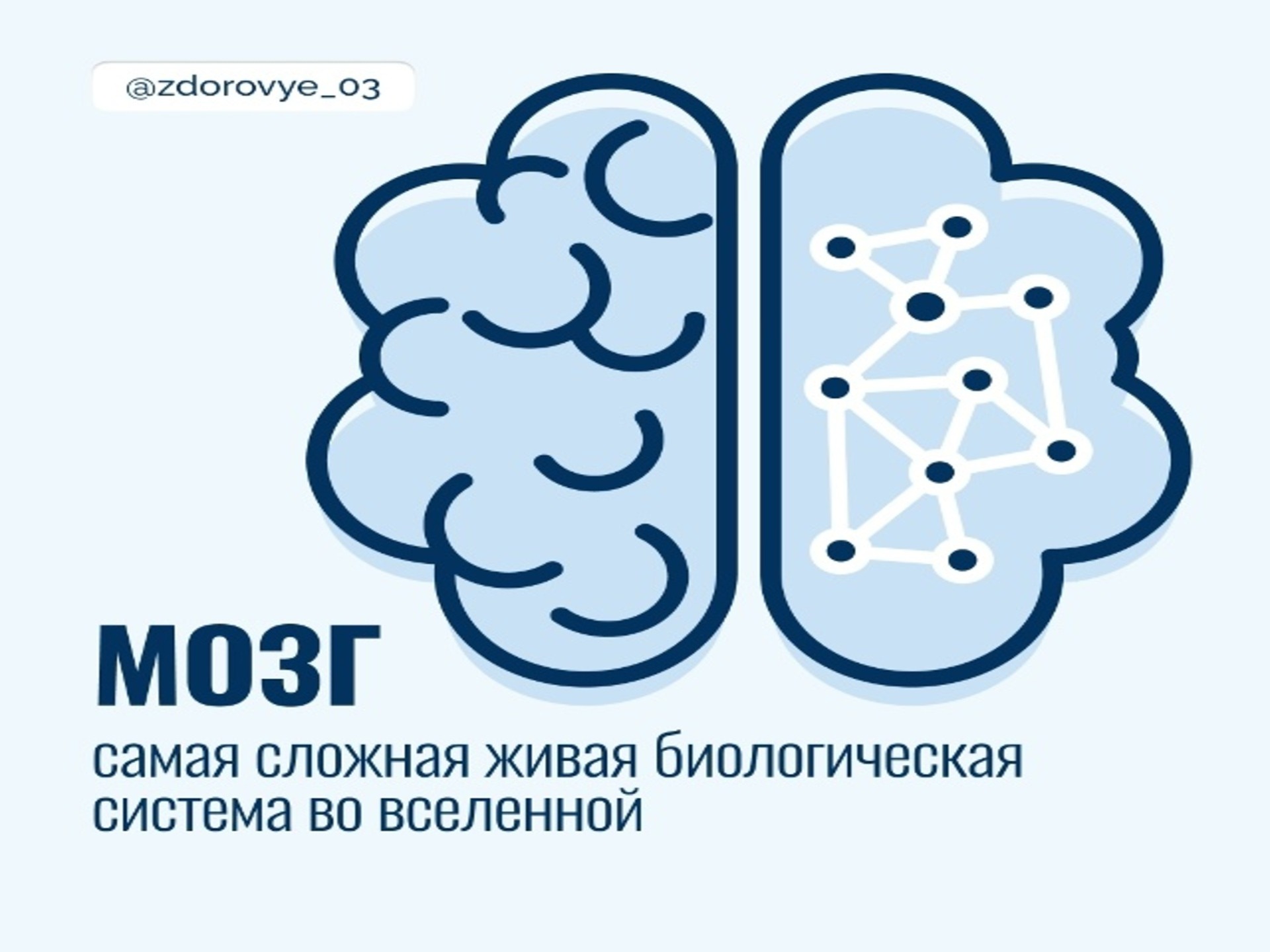 20-26 июля - Неделя сохранения здоровья головного мозга