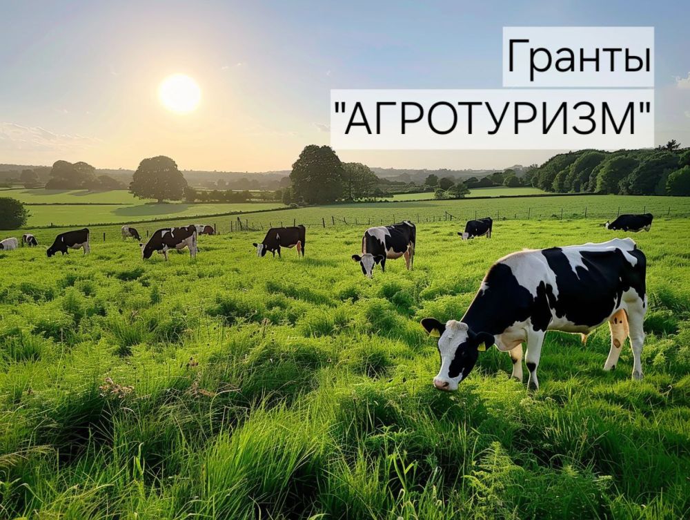 Объявление о приеме заявочной документации на участие в конкурсном отборе проектов развития сельского туризма на предоставление грантов «Агротуризм» в 2027 году и плановом периоде 2028-2029 годов