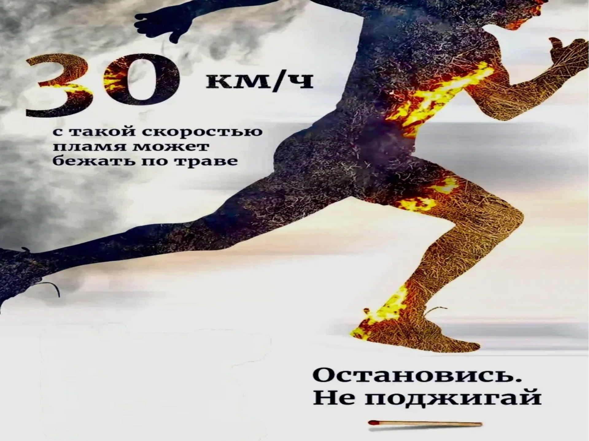 Человеческая беспечность приводит к лесным пожарам