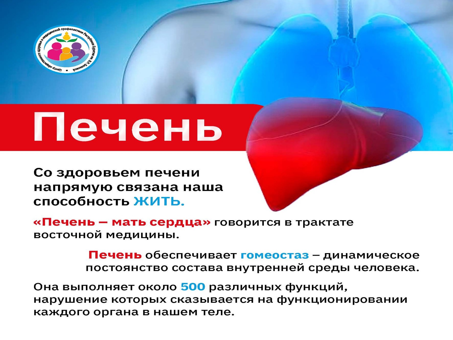 Неделя профилактики заболеваний печени, приуроченная к Международному дню борьбы с гепатитом (28 июля) — отличный повод узнать больше о том, как защитить этот жизненно важный орган!
