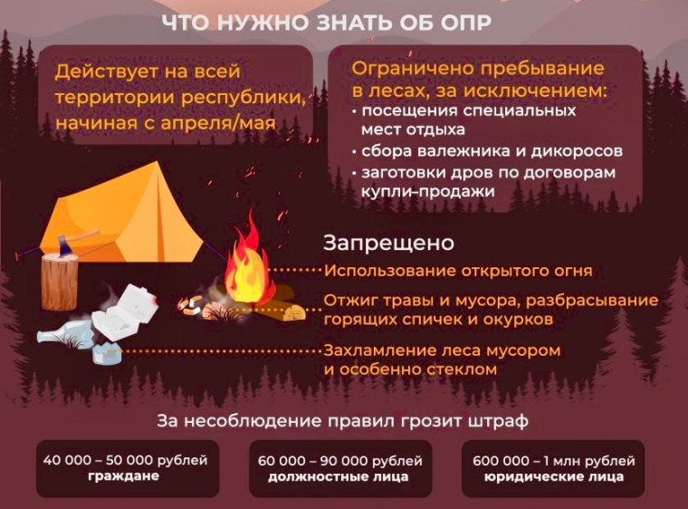 В лесах Бурятии введен особый противопожарный режим.